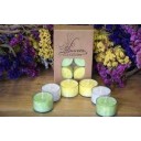 Laureta Candles kristāliskā palmu vaska tējassveces dzeltena, balta, zaļa, 6gb